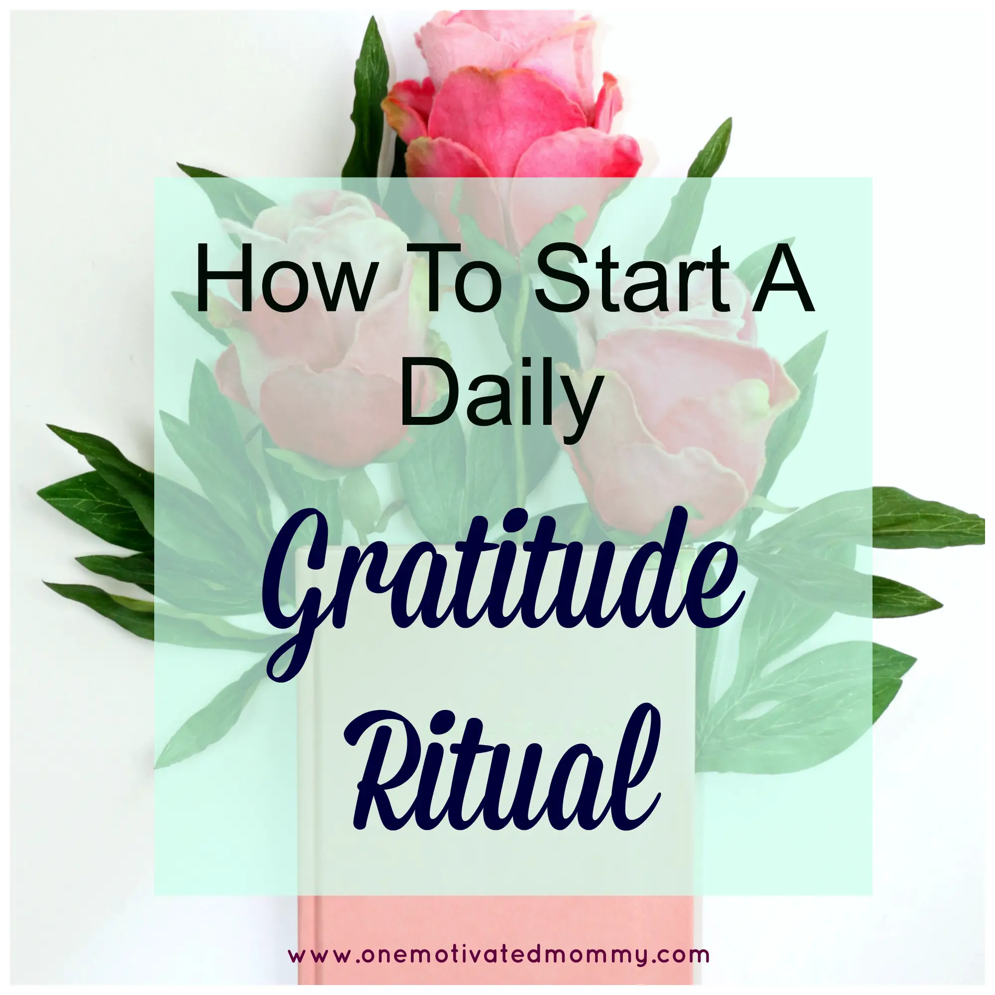 How to Start a Gratitude Ritual