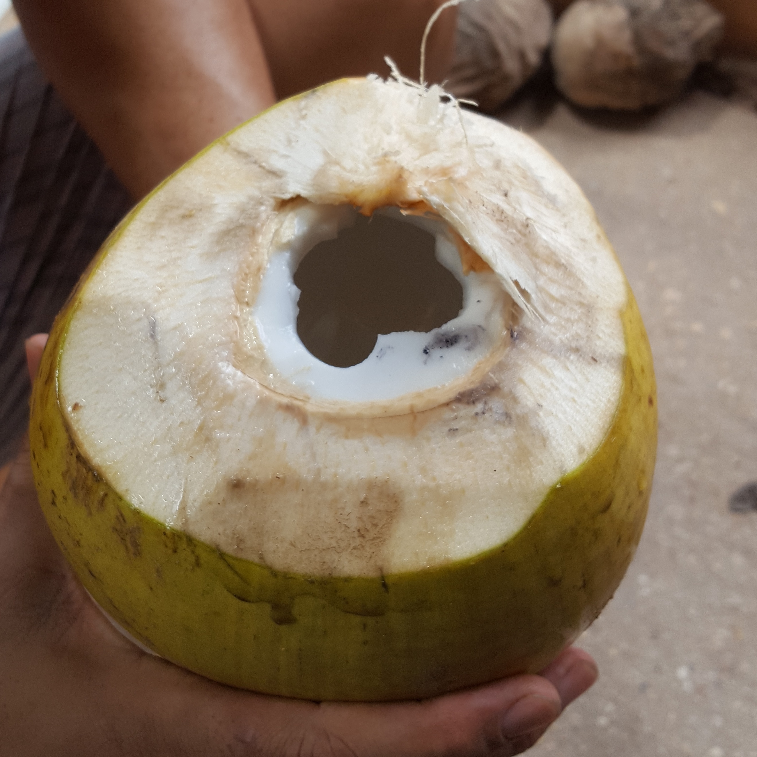 Coconut Water and Jelly