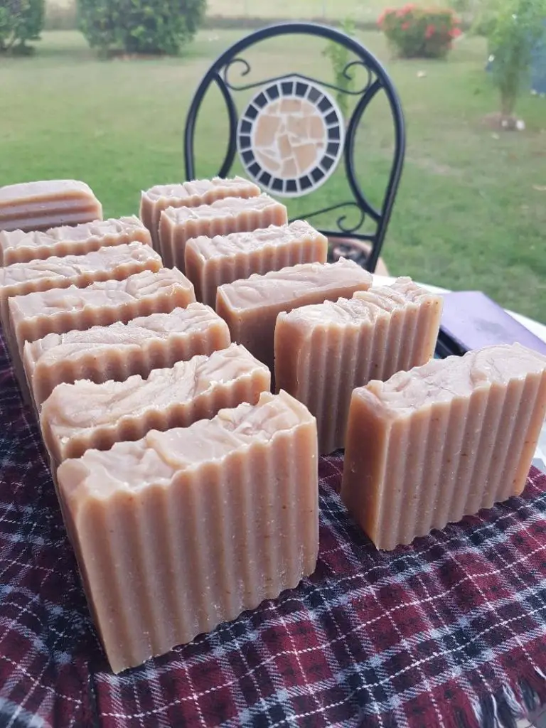 Coconut Aloe Vera Soap