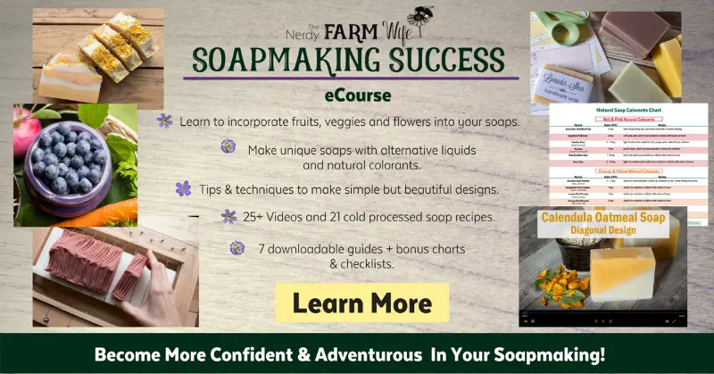 Soapmaking Success eCourse