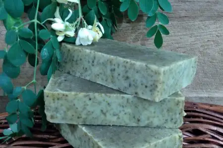 Moringa Mint soap