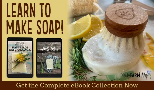 Learn To Make Soap Nerdy Farmwife