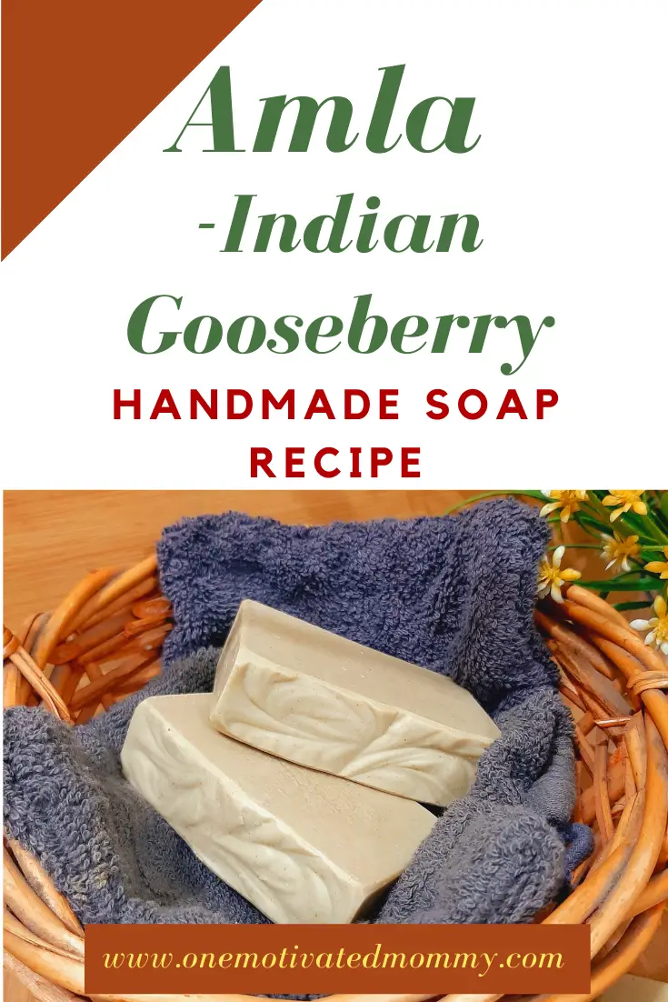 Amla Indian Gooseberry Handmade Soap Recipe