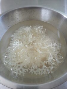 Hydrated Sea Moss