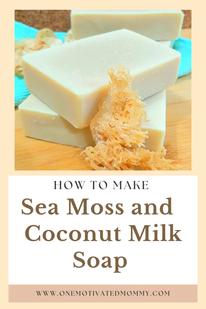 DIY Organic Sea Moss Soap Recipe: A Natural Skincare Marvel for Face a –  Super Sea Moss