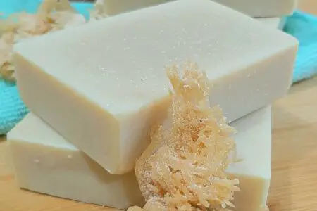 Sea Moss and Coconut Milk Soap