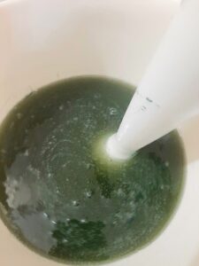 Adding spirulina to oils
